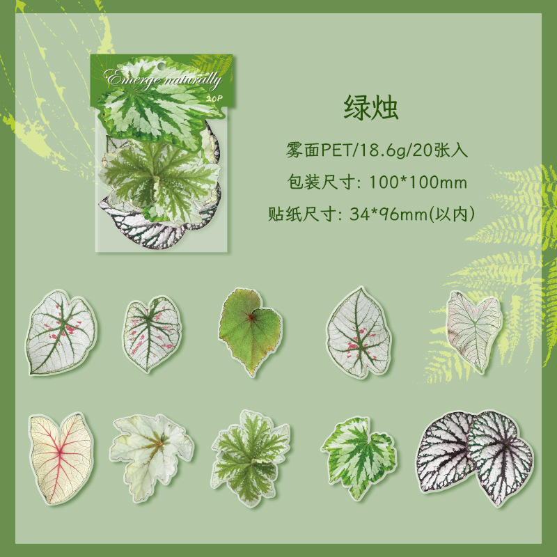 20Pcs/Pack Plant Theme PET Stickers