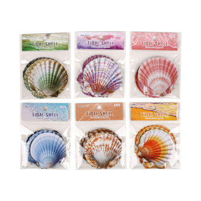 16 Pcs seashell-themed sticker