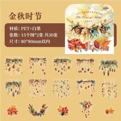 30Sheet/Book Seasonal Fruit Plant Theme PET Sticker Background Scrapbook