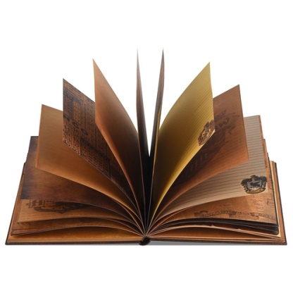 Harry potter magic book