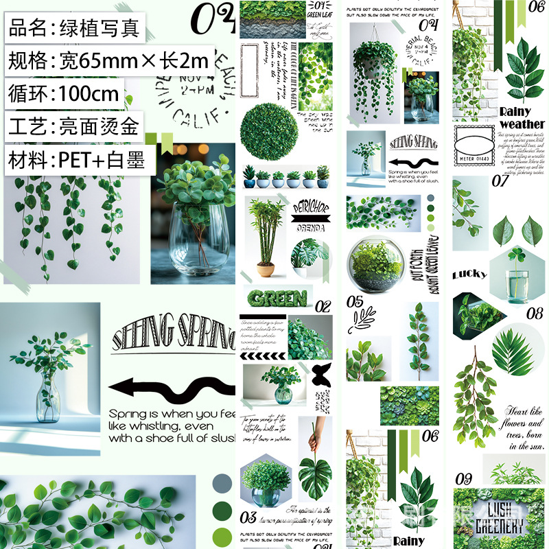 Multiple sizes Butterfly Flowers Eagle Girl Easter Theme PET Tape