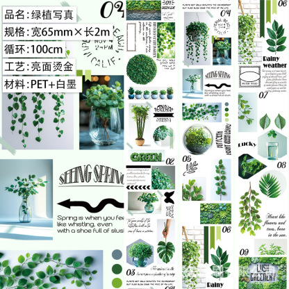 Multiple sizes Butterfly Flowers Eagle Girl Easter Theme PET Tape