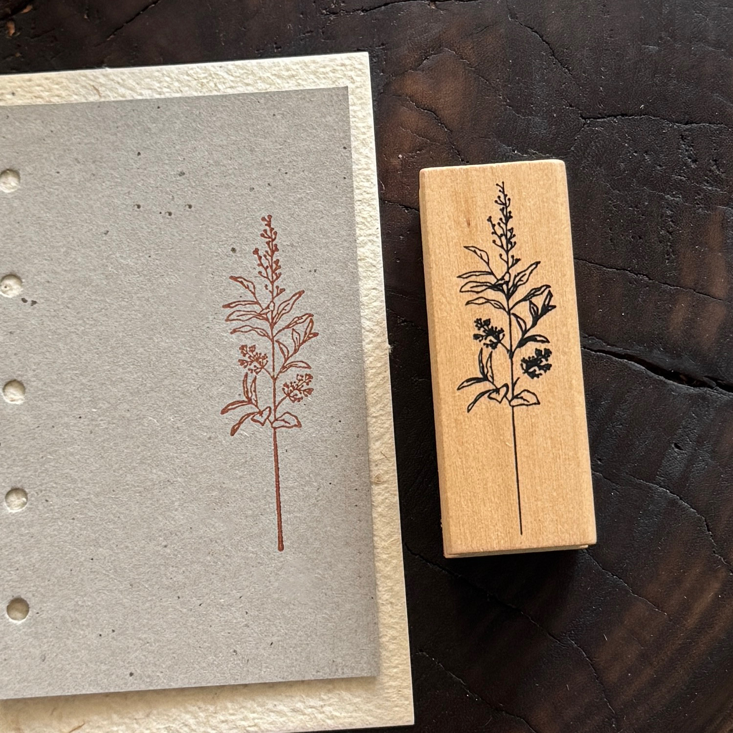 Vintage Nature Sketch Wooden Rubber Stamp | Butterfly Mushroom Dragonfly Botanical