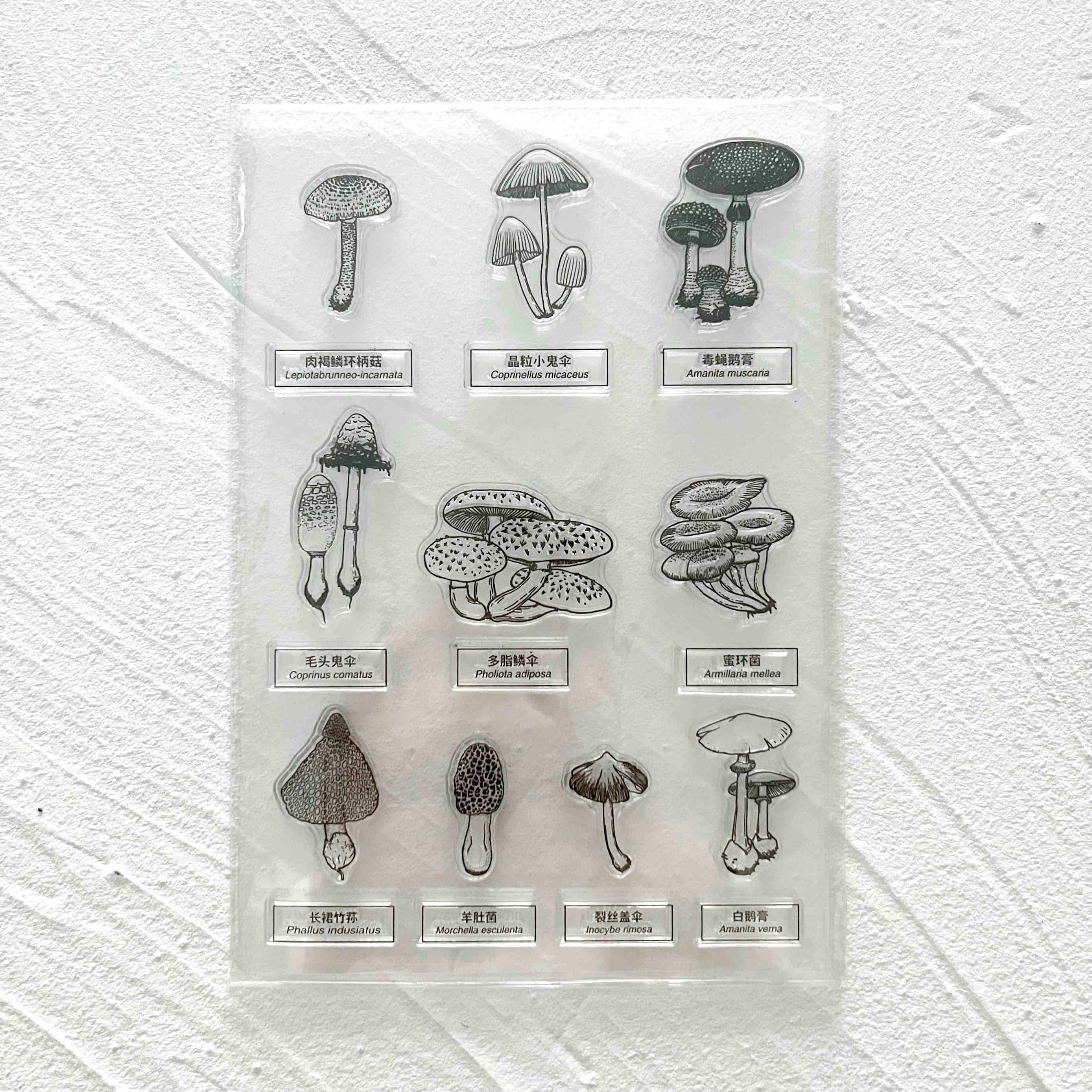 48 Style Clear Silicone Stamps for DIY Scrapbooking Card Making
