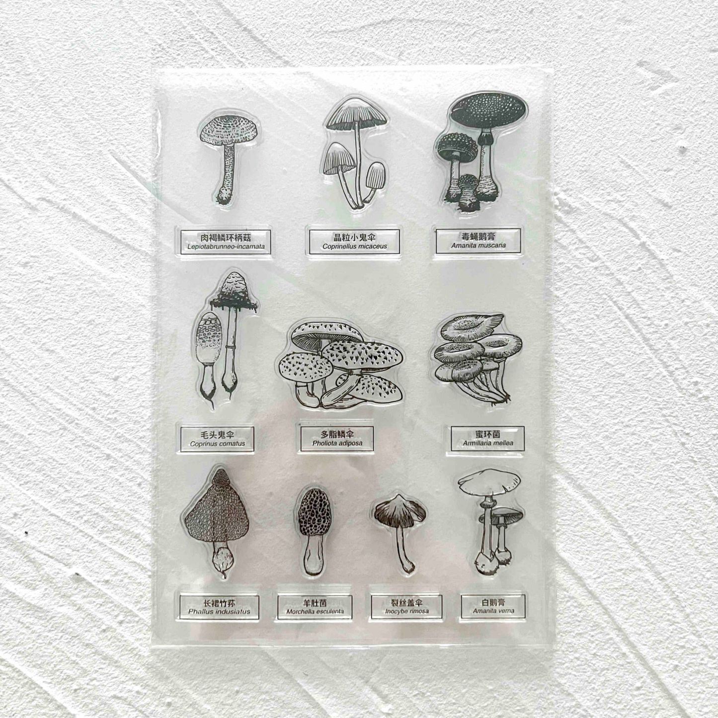 48 Style Clear Silicone Stamps for DIY Scrapbooking Card Making