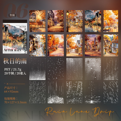 20pcs/Pack Rainy Weather Themed PET Sticker Book