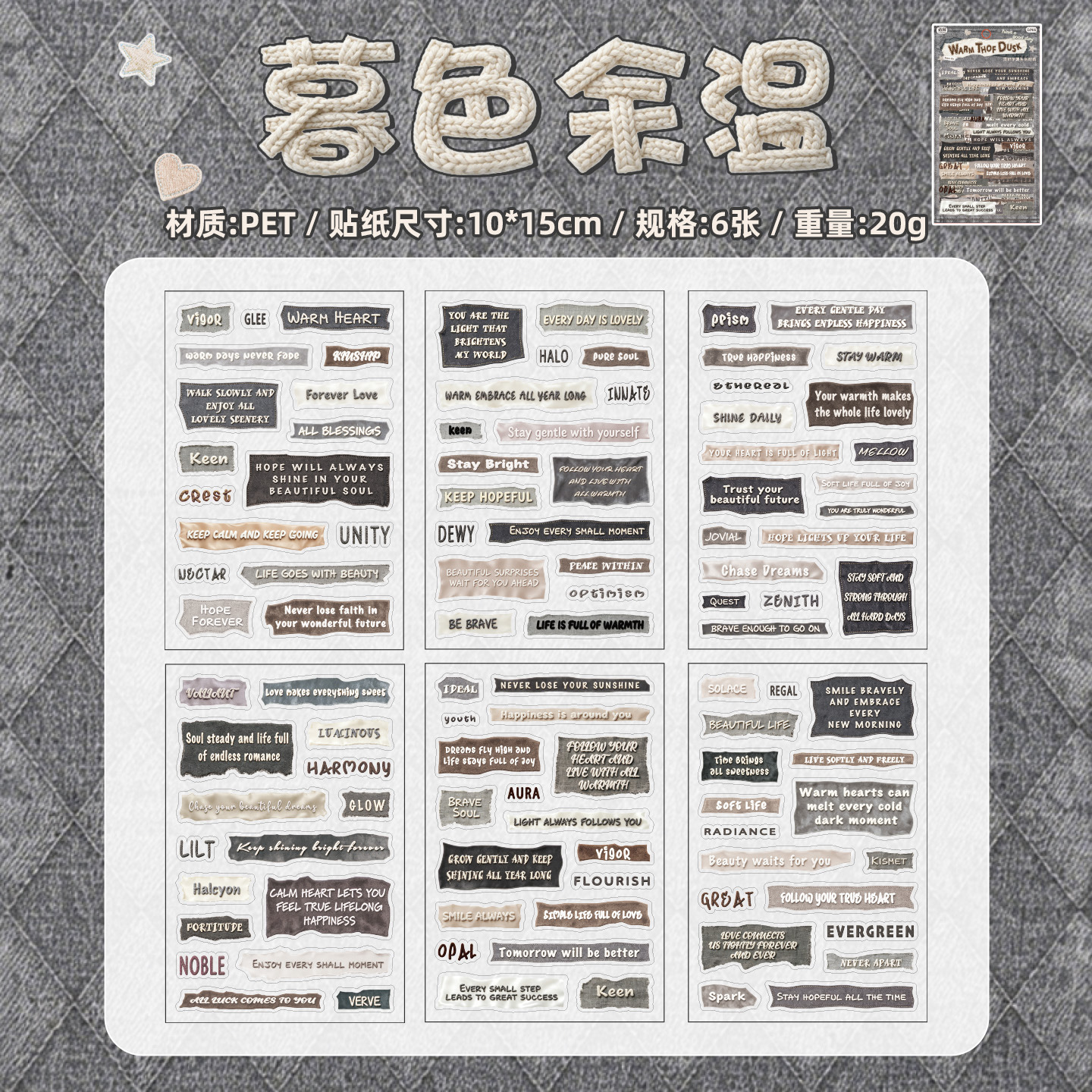 6-Piece Set of English-Text PET Stickers