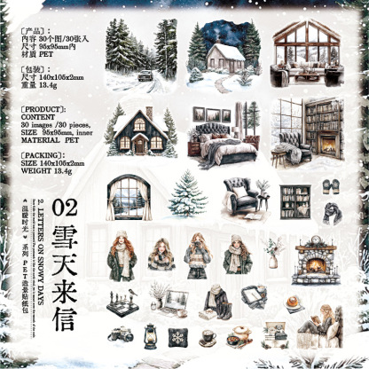 30Pcs Winter Girls Theme PET Stickers