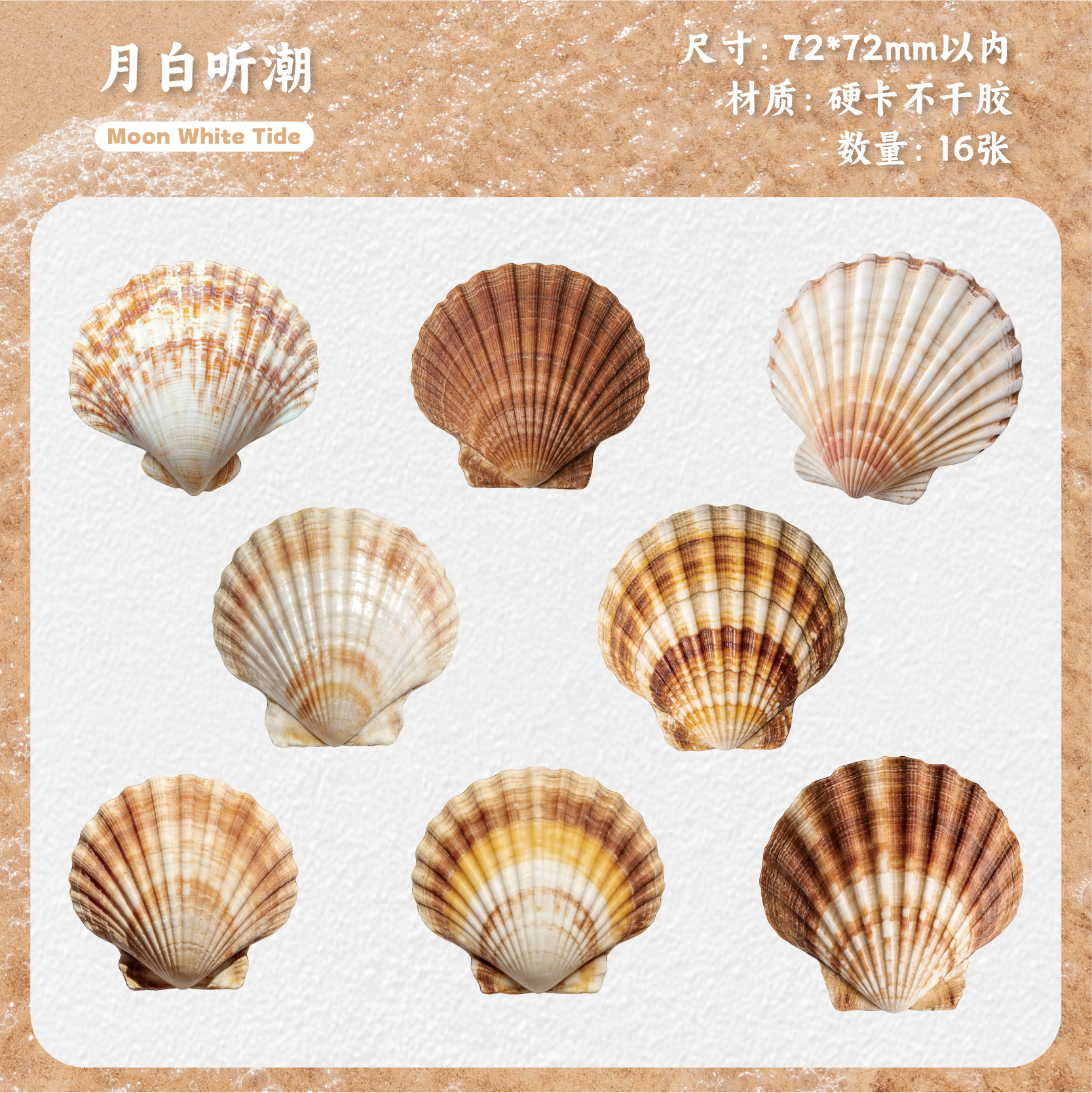 16 Pcs seashell-themed sticker
