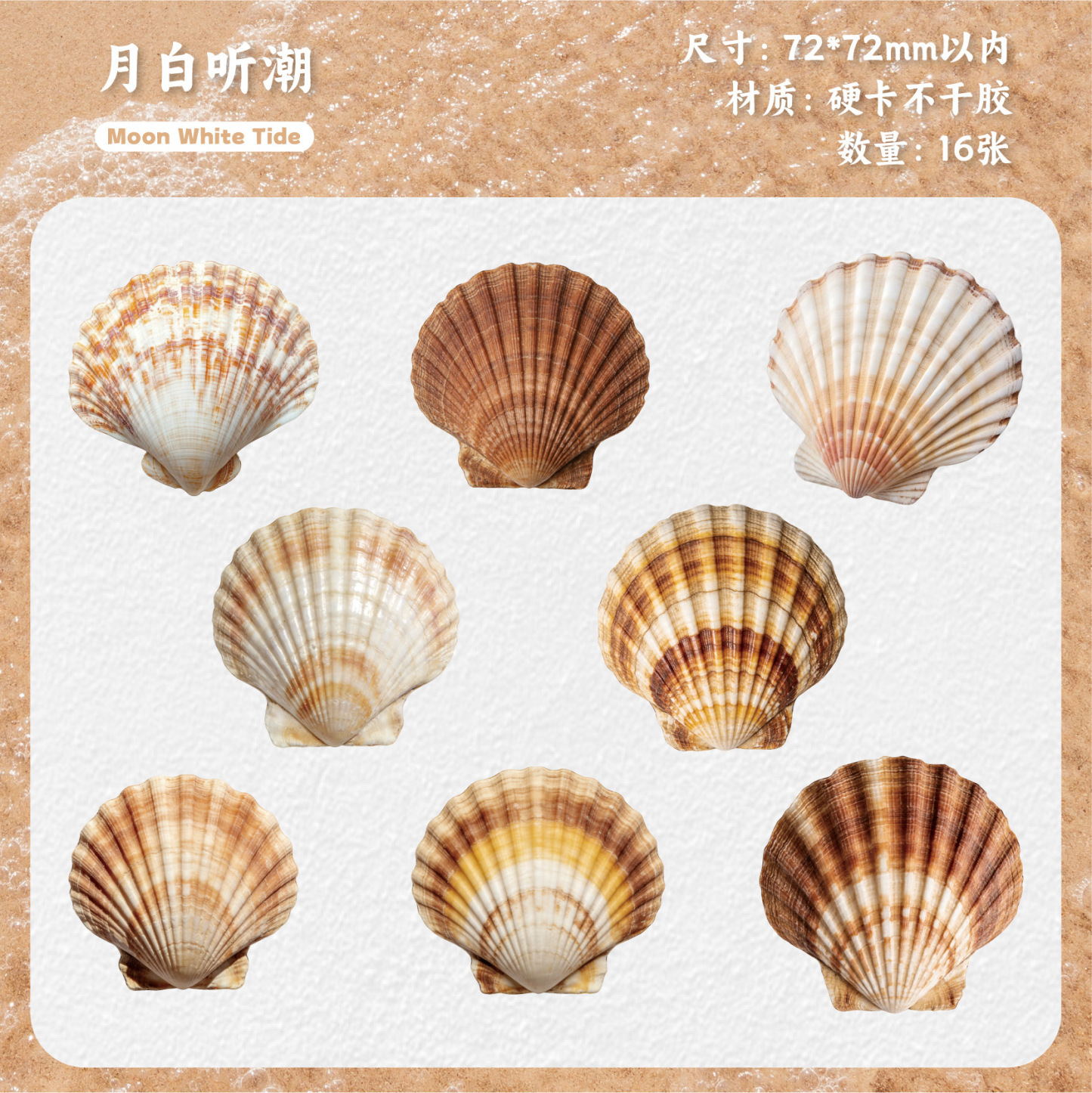 16 Pcs seashell-themed sticker