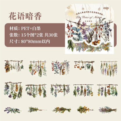 30Sheet/Book Seasonal Fruit Plant Theme PET Sticker Background Scrapbook