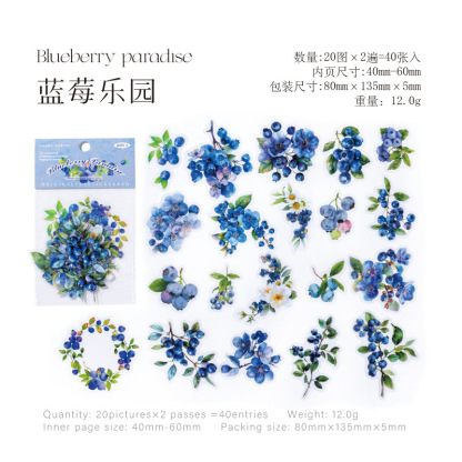 Candy Posts Pet Sticker Pack Flowering and Fruiting Nature Series Fruit Theme Hand Account DIY Decorative Sticker 40 Sheets 6 Models