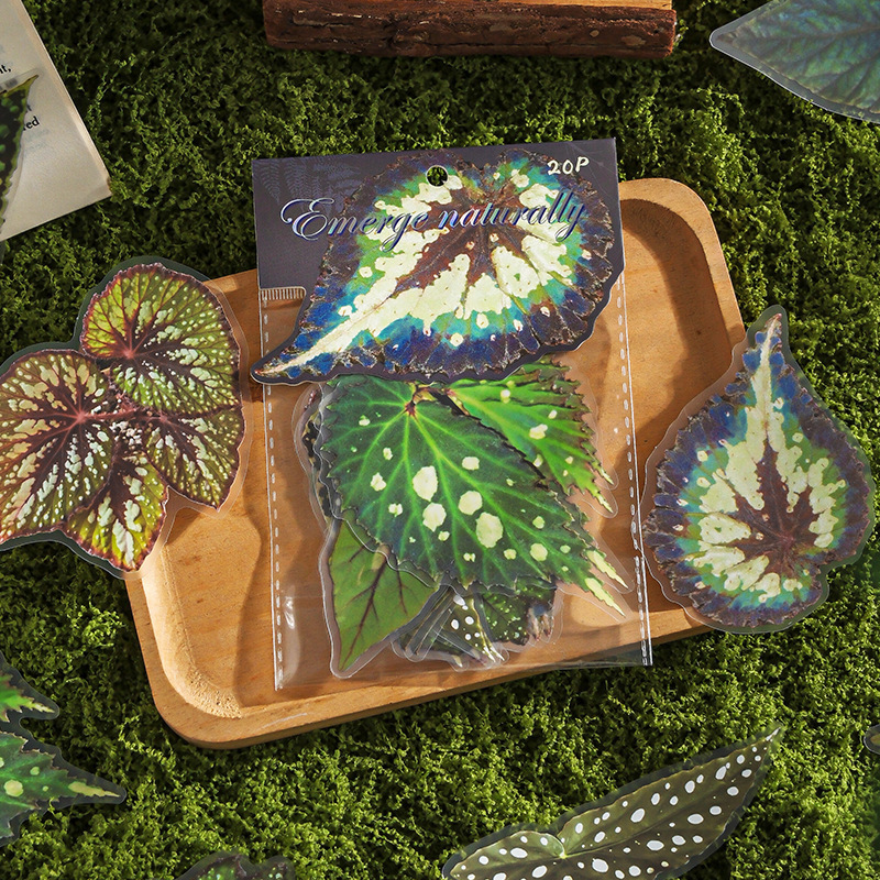 20Pcs/Pack Plant Theme PET Stickers