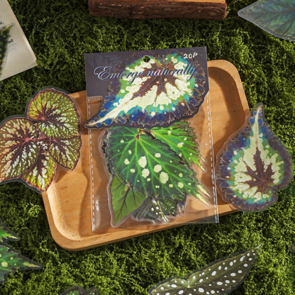 20Pcs/Pack Plant Theme PET Stickers