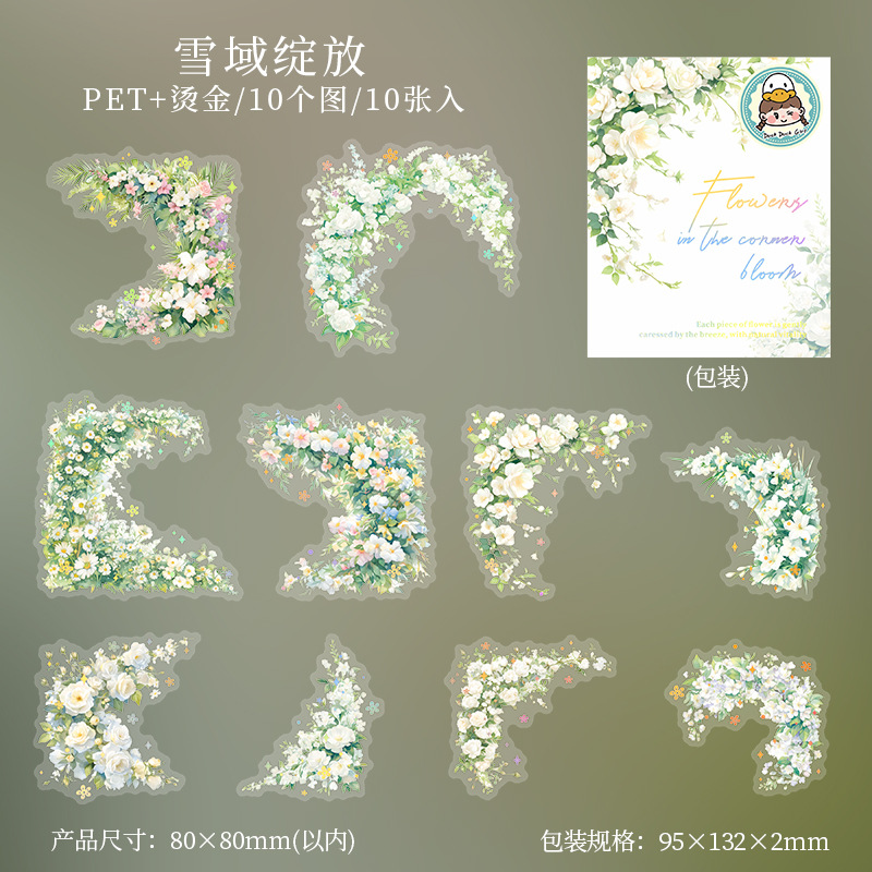 Window Landscape PET Die Cut Tape 2.76*78.74 inches