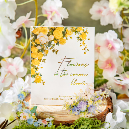 Window Landscape PET Die Cut Tape 2.76*78.74 inches