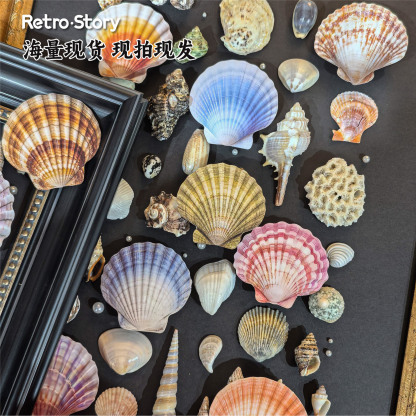 16 Pcs seashell-themed sticker