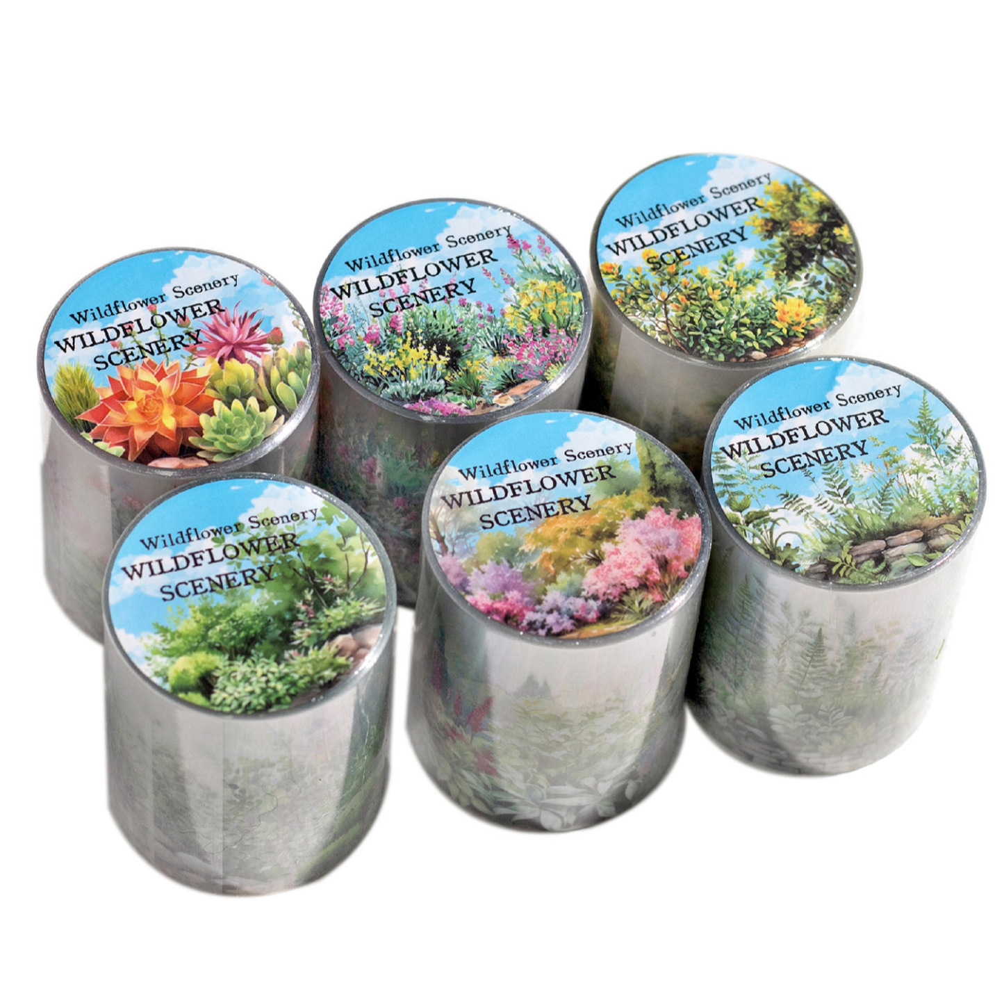 Succulent Plant Flower Theme PET Tape 1.97 Inch * 78.74 Inch