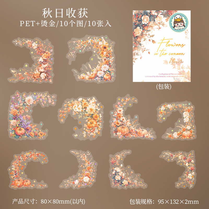 Window Landscape PET Die Cut Tape 2.76*78.74 inches