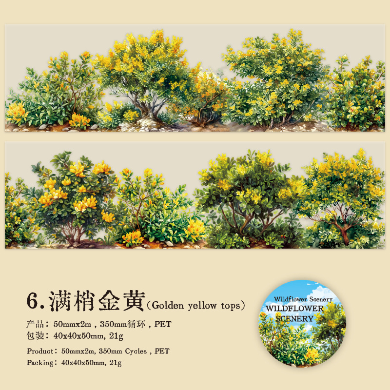 Succulent Plant Flower Theme PET Tape 1.97 Inch * 78.74 Inch