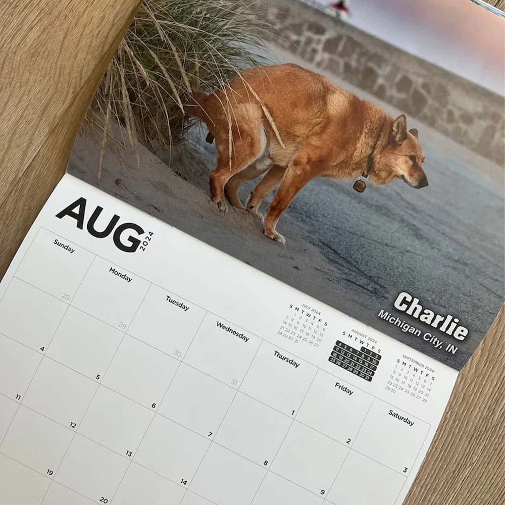 Flygooses 2024 Pooping Pooches Dog Calendar