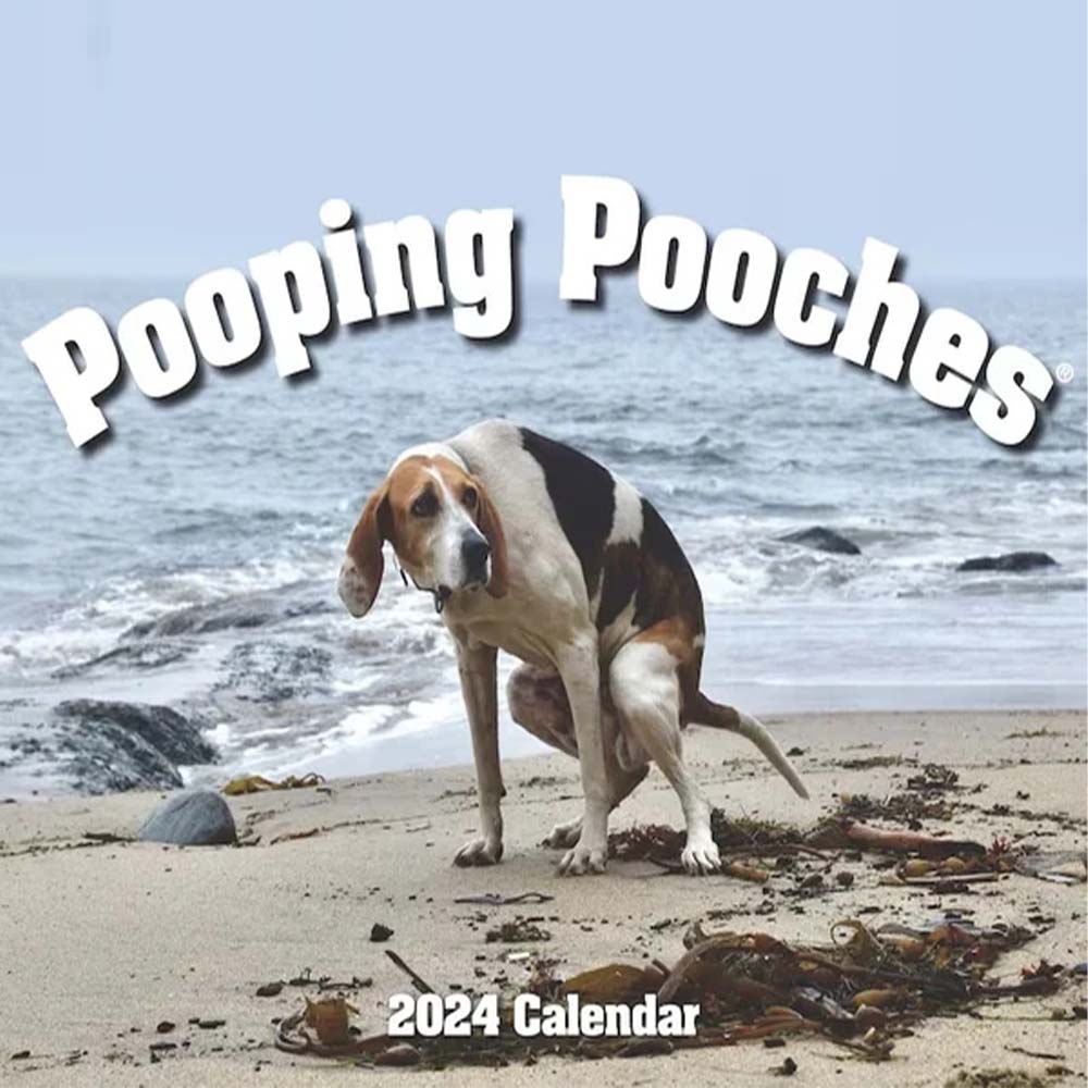 Flygooses 2024 Pooping Pooches Dog Calendar