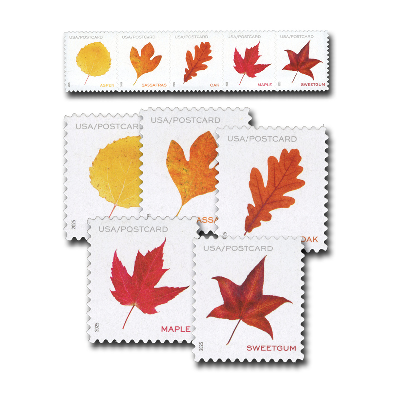 2025 Vibrant Leavea Postcard Forever First Class Postage Stamps