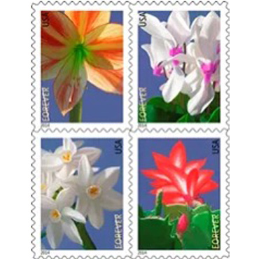 2014 Imperforate Winter Flowers Forever First Class Postage Stamps