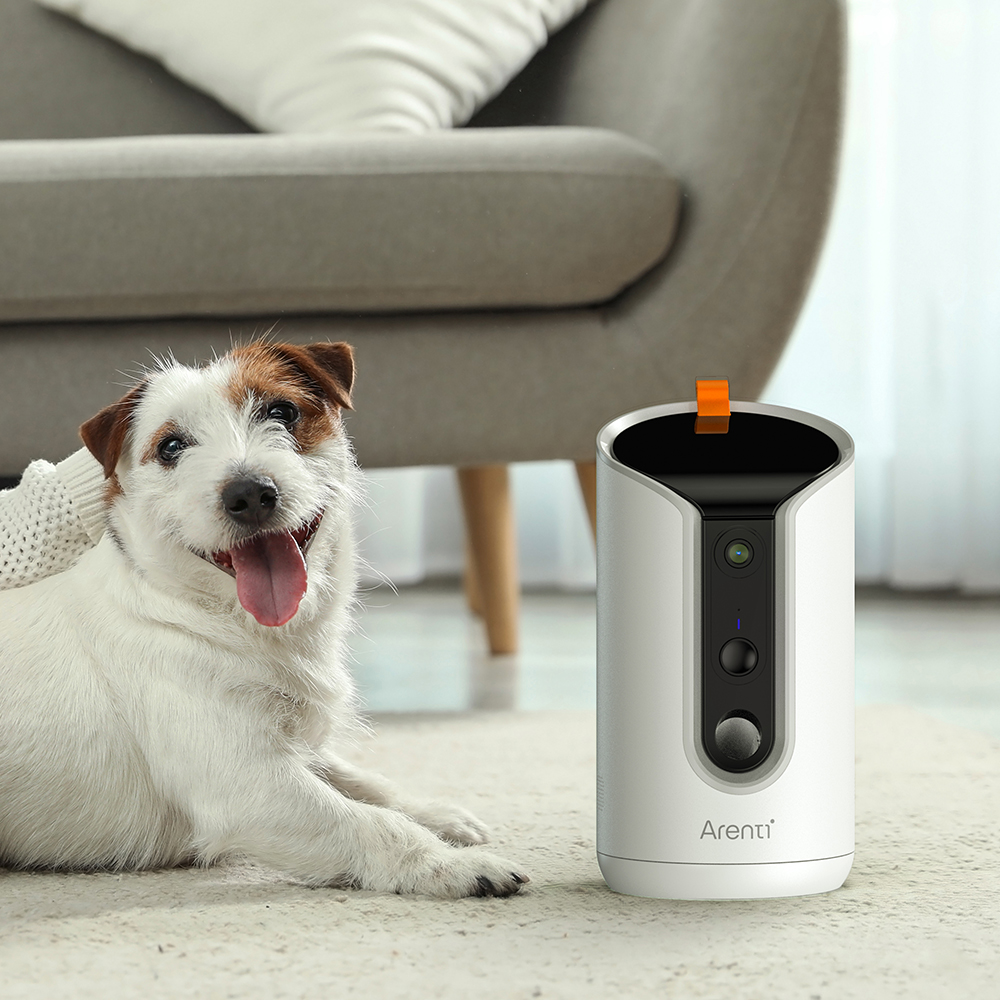 Buying Dog Camera with Wi Fi Factors to Consider