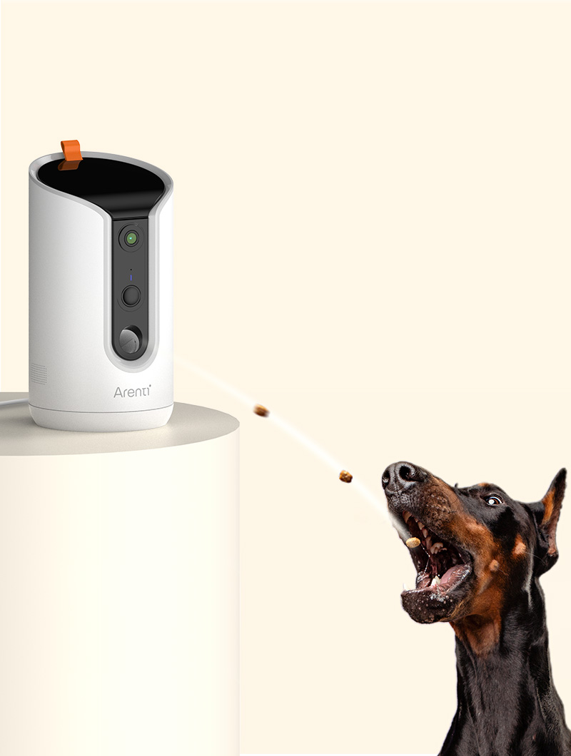 Arenti Dog Camera Works with 2.4 GHz＆5 GHz Wi-Fi 355° 2K