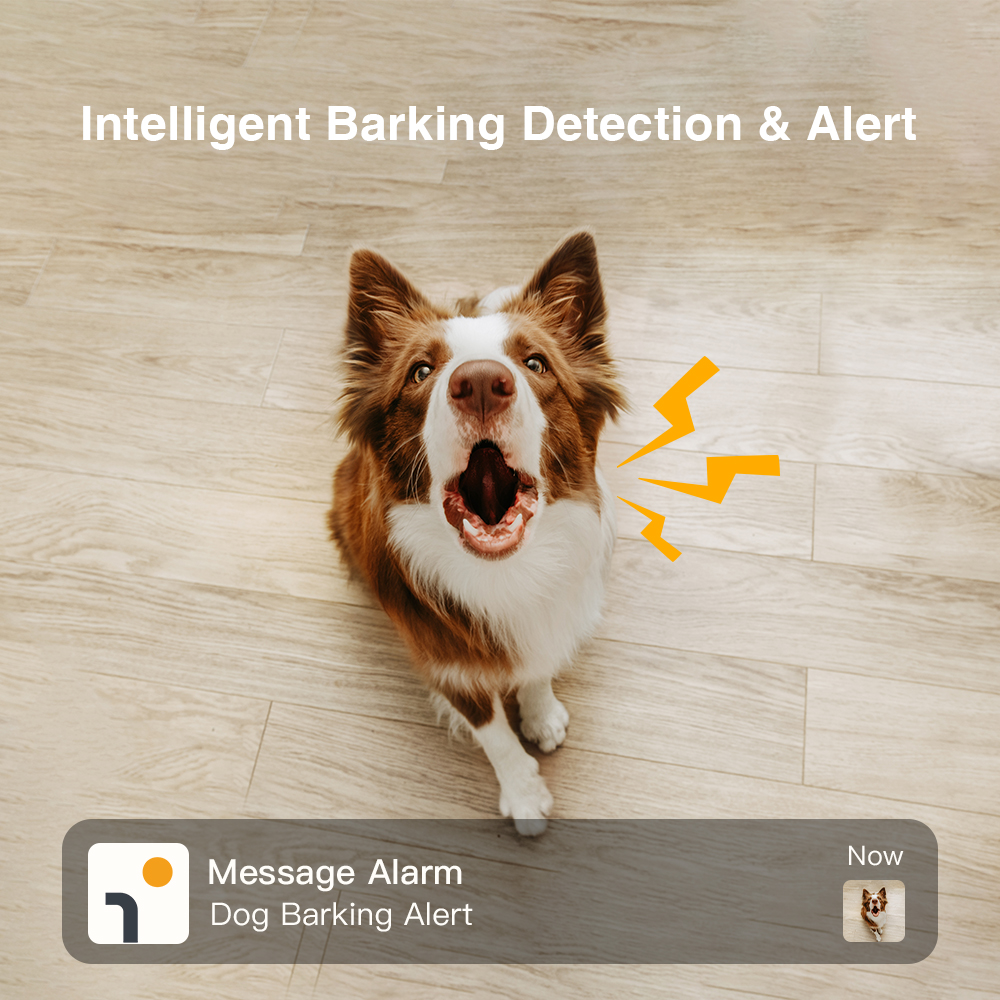 Dog camera outlet with bark alert