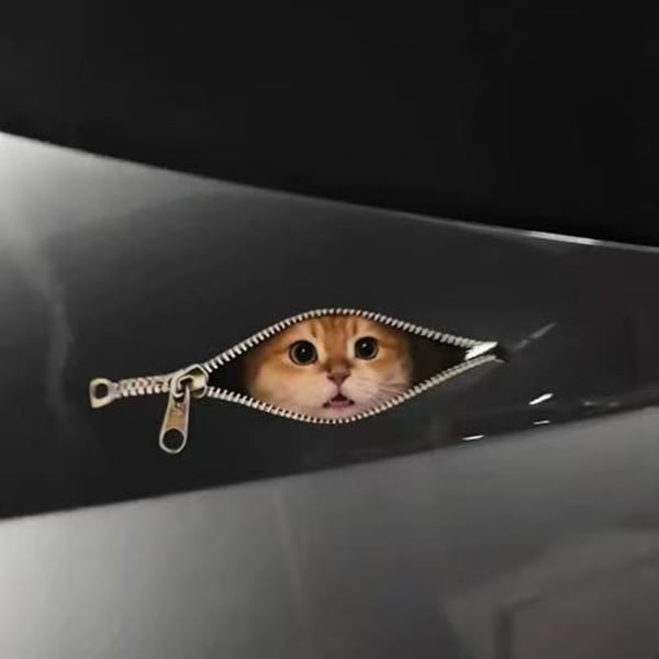 😺🚗 peek-a-boo cat car sticker