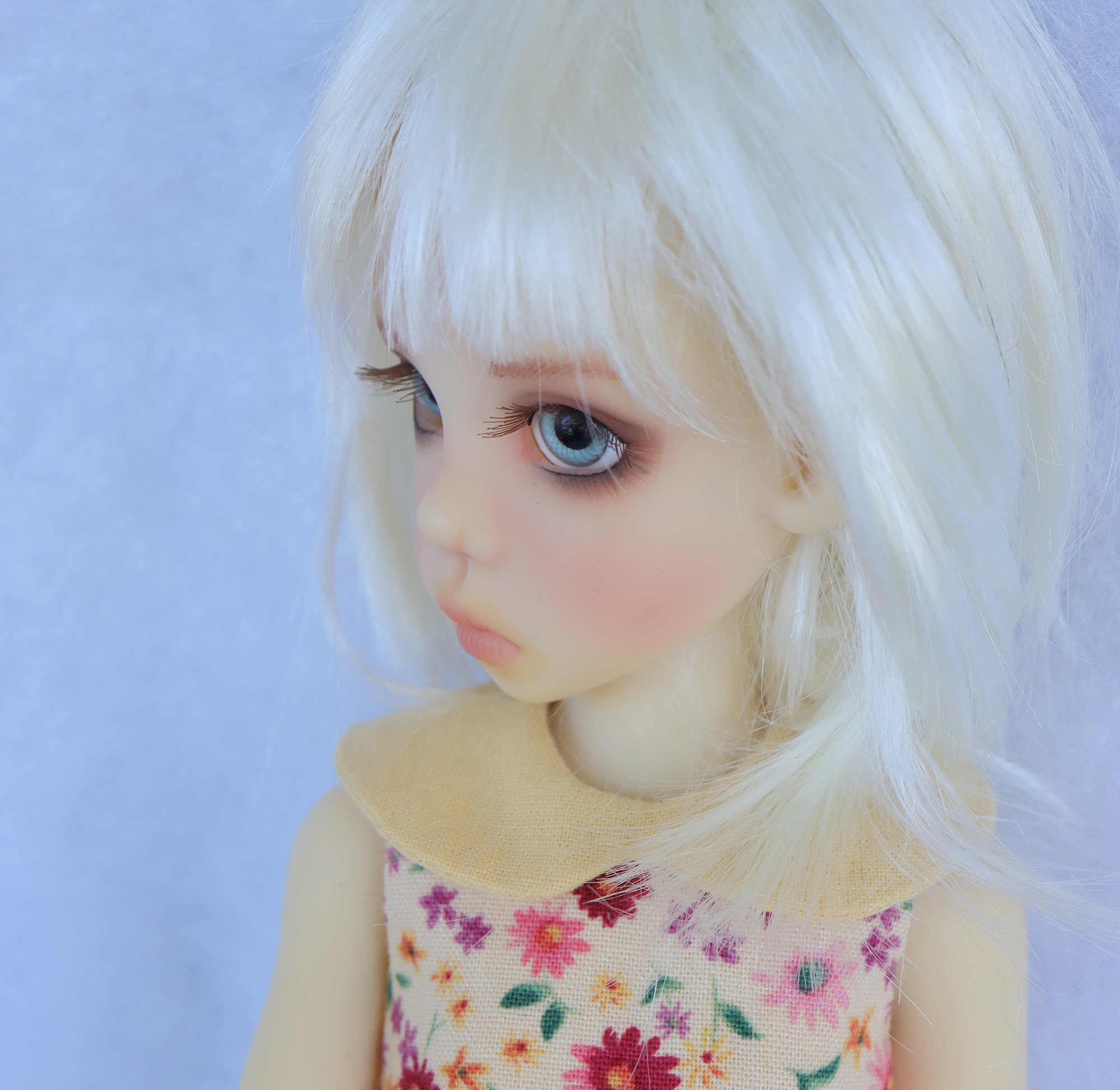 Fair Mini Human Missy