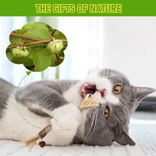 (🔥Last Day Promotion - 30%OFF) Natural Silvervine Stick Cat Chew Toy- BUY 3 GET 2 FREE TODAY!