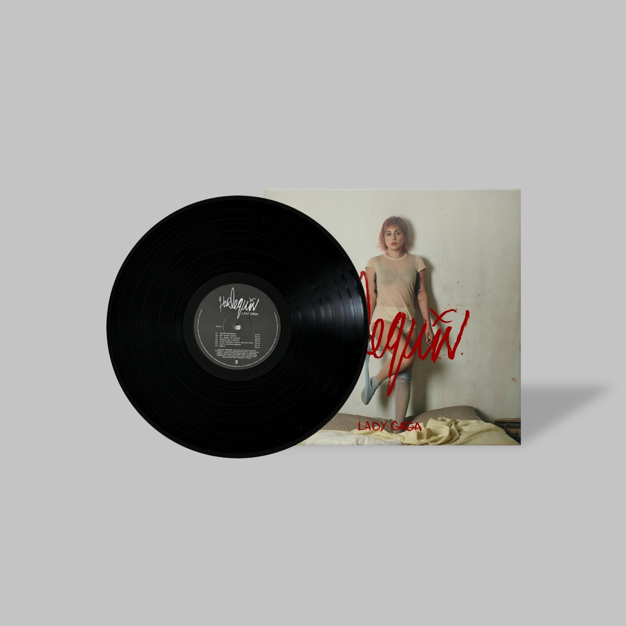 Lady Gaga Handmade Mini Vinyl Album Set All Albums Customised Gift 