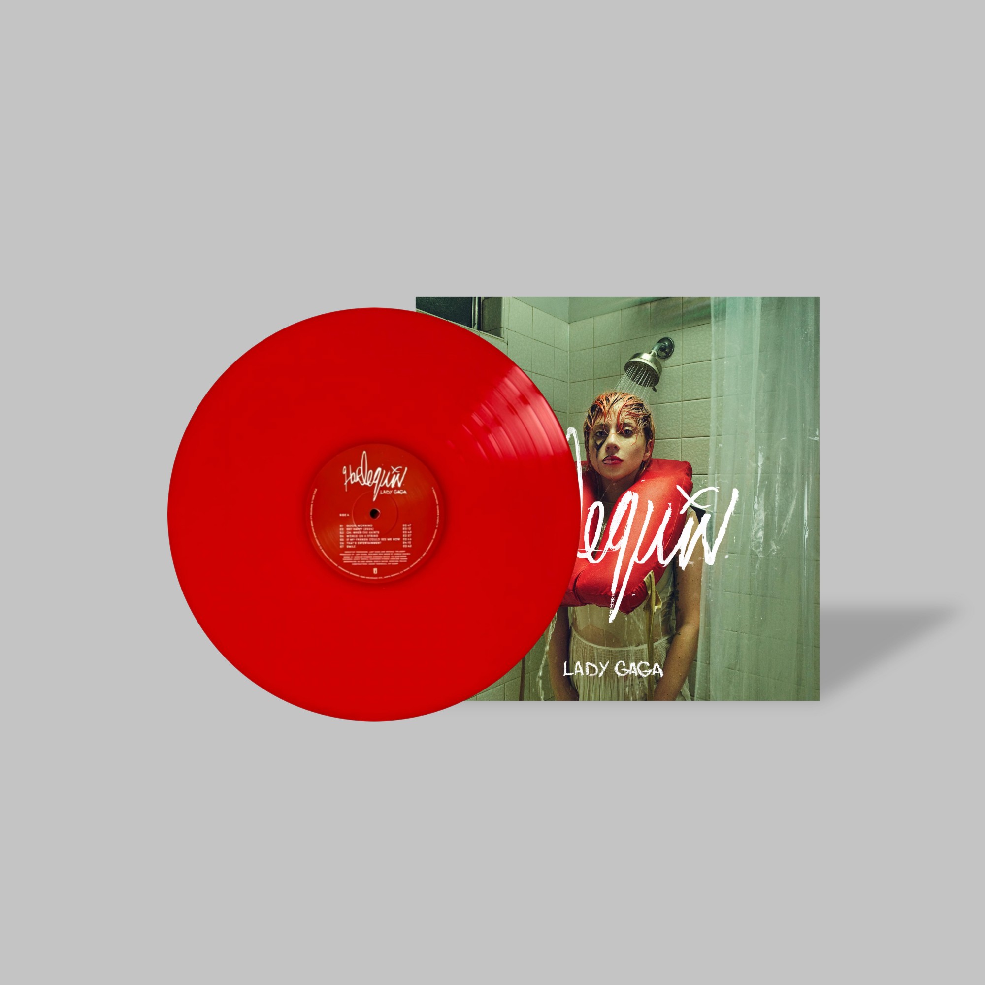 Lady Gaga Handmade Mini Vinyl Album Set All Albums Customised Gift 