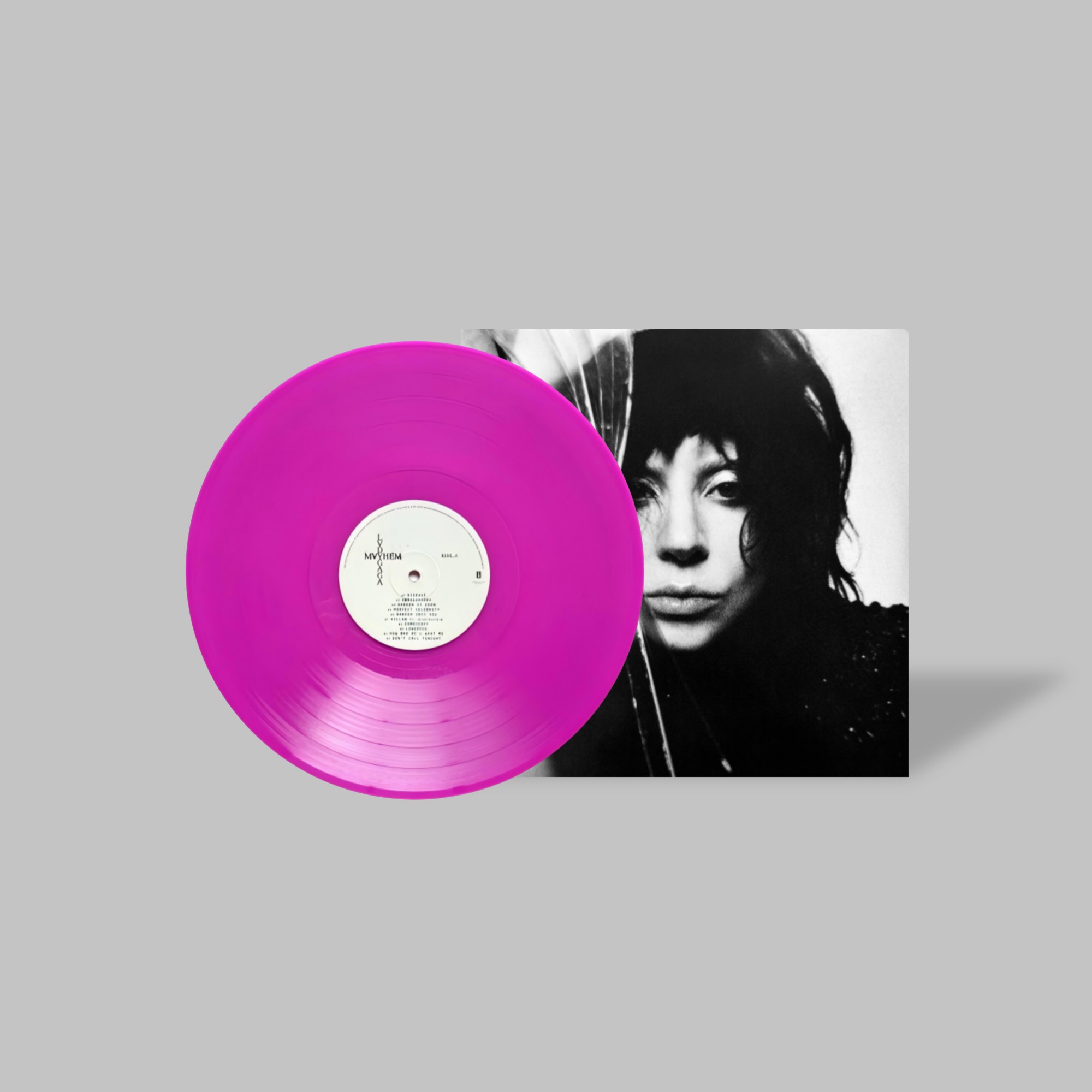 Lady Gaga Handmade Mini Vinyl Album Set All Albums Customised Gift 