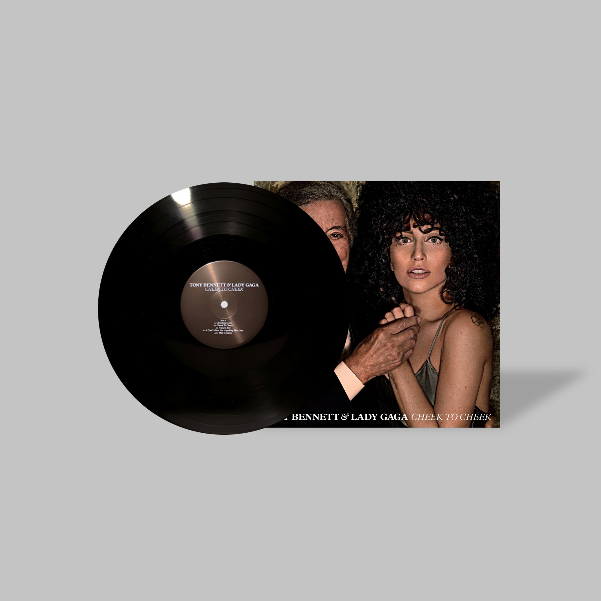 Lady Gaga Handmade Mini Vinyl Album Set All Albums Customised Gift 