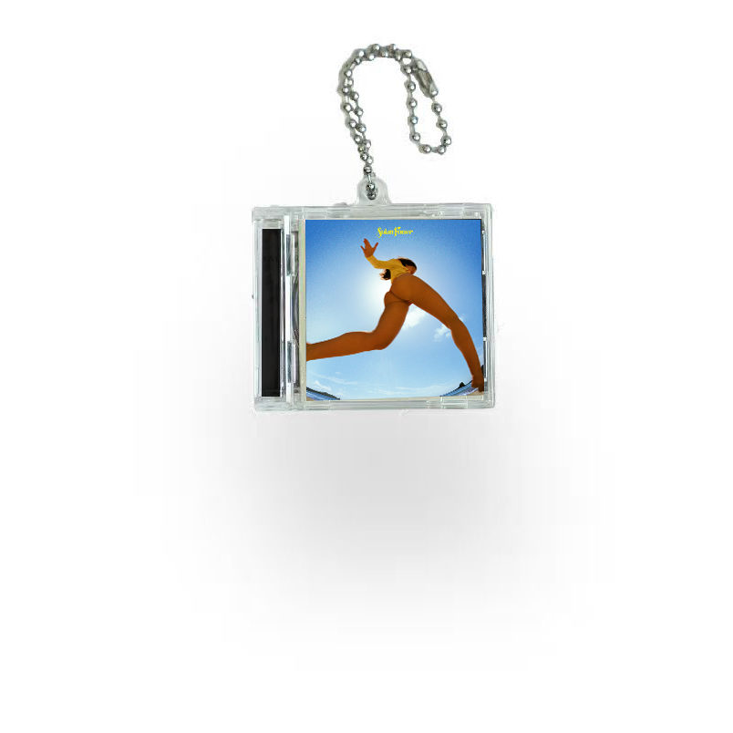Lorde Mini NFC Album Keychain CD Music Keychain Pendant Customized Mini 