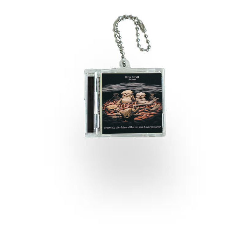 Limp Bizkit  Mini Vinyl NFC Album Keychain CD Music Keychain Pendant Customized