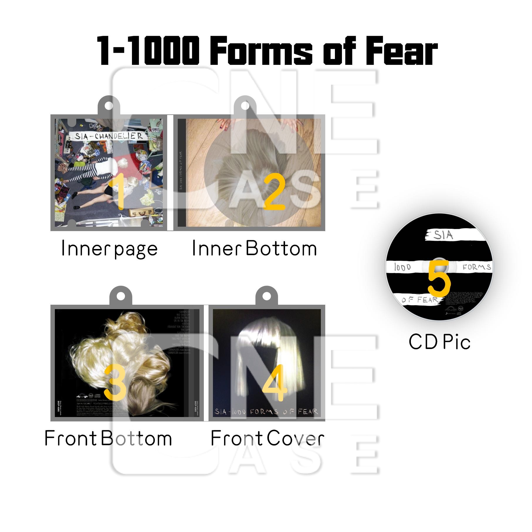 Sia Mini Vinyl NFC Album Keychain CD Music Keychain Pendant Customized 