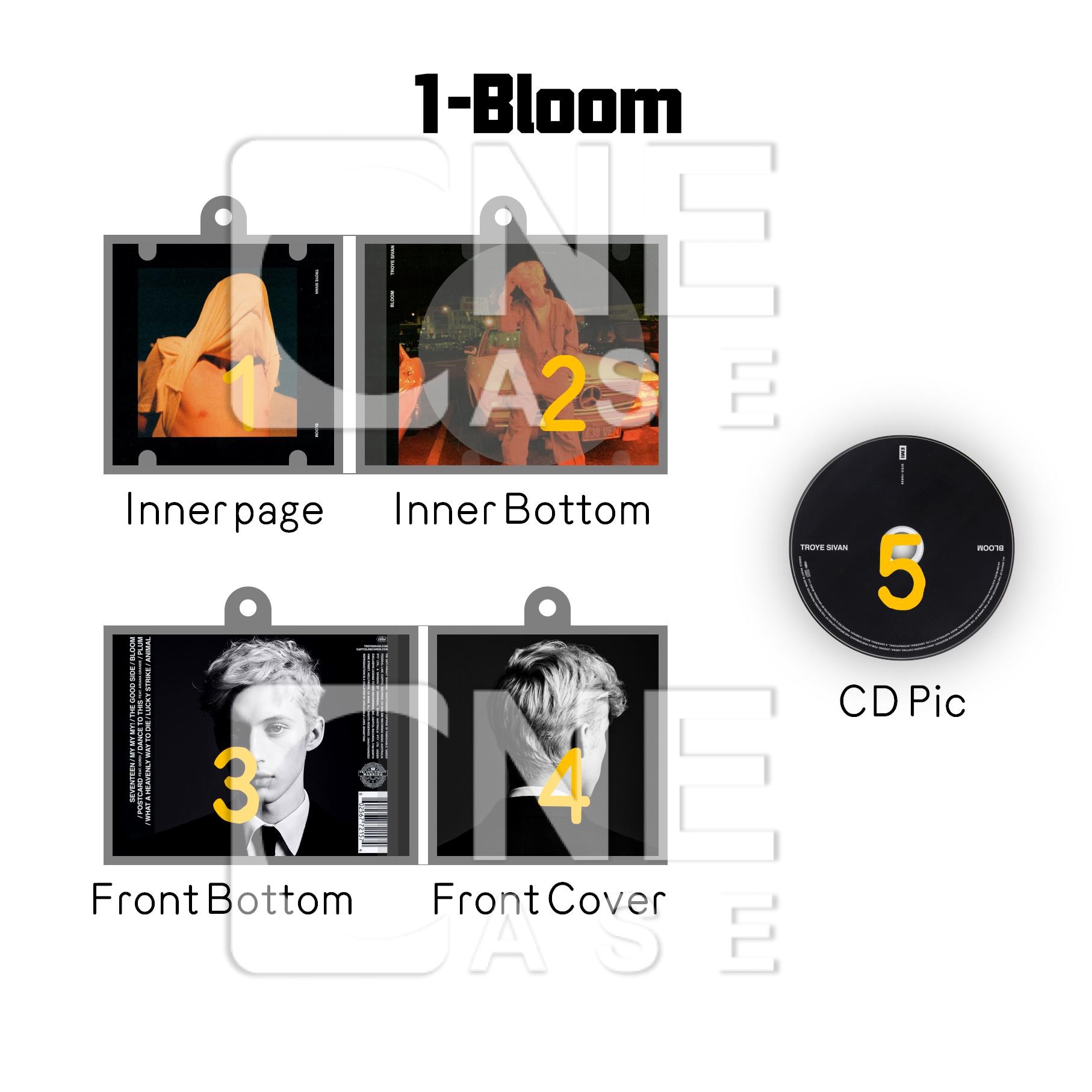 Troye Sivan Mini Vinyl NFC Album Keychain CD Music Keychain Pendant Customized