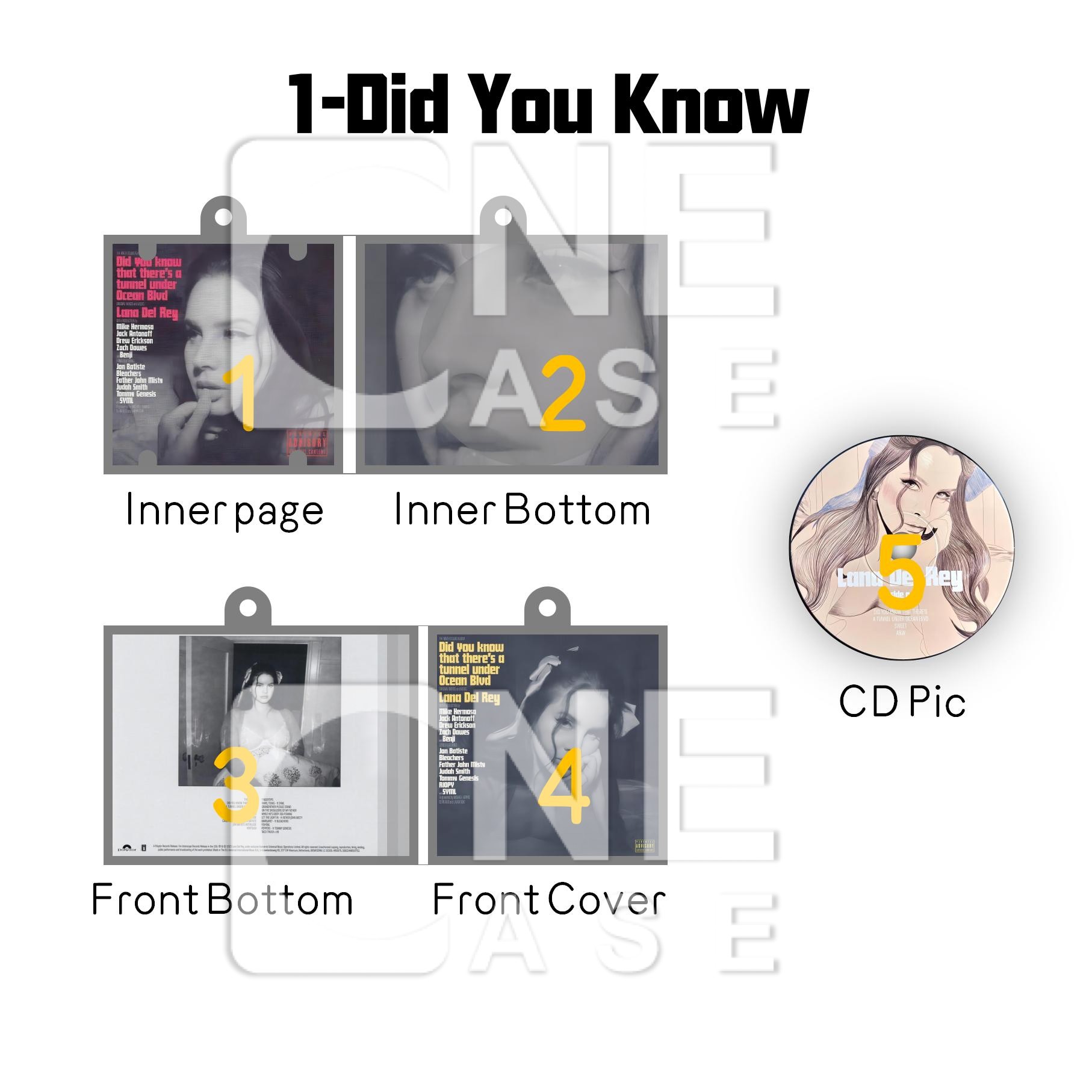 Lana Del Rey  Mini vinyl NFC Album Keychain CD Music Keychain Pendant Customized 