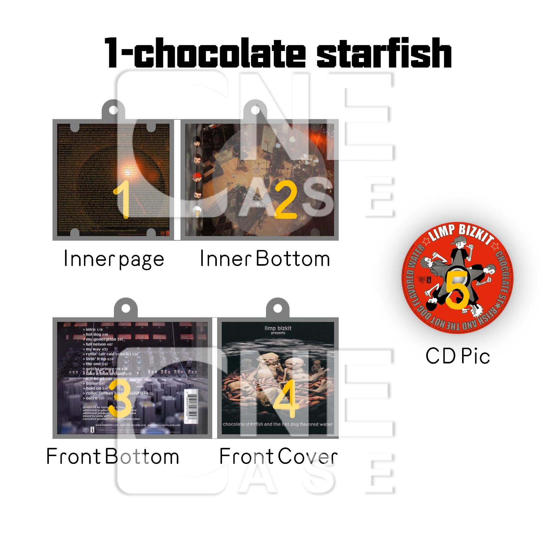 Limp Bizkit  Mini Vinyl NFC Album Keychain CD Music Keychain Pendant Customized