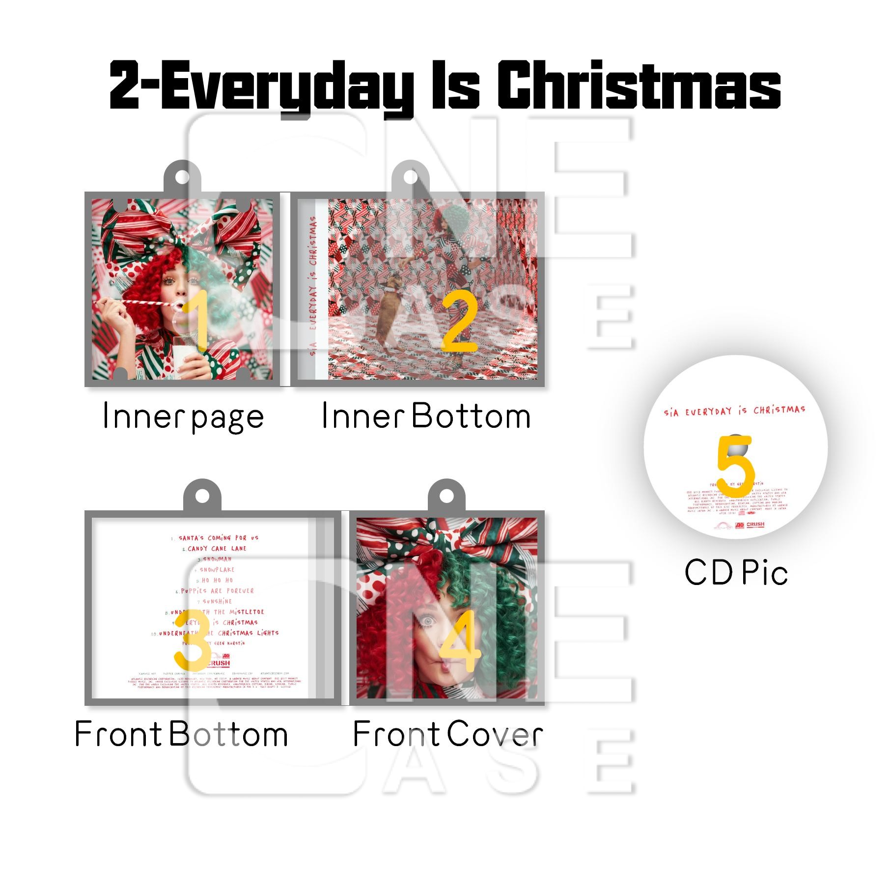 Sia Mini Vinyl NFC Album Keychain CD Music Keychain Pendant Customized 