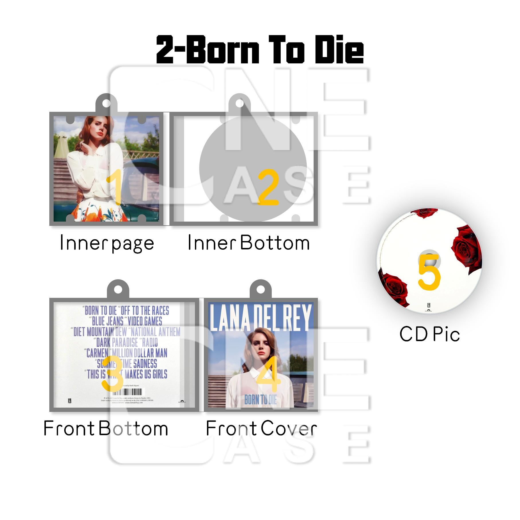 Lana Del Rey  Mini vinyl NFC Album Keychain CD Music Keychain Pendant Customized 