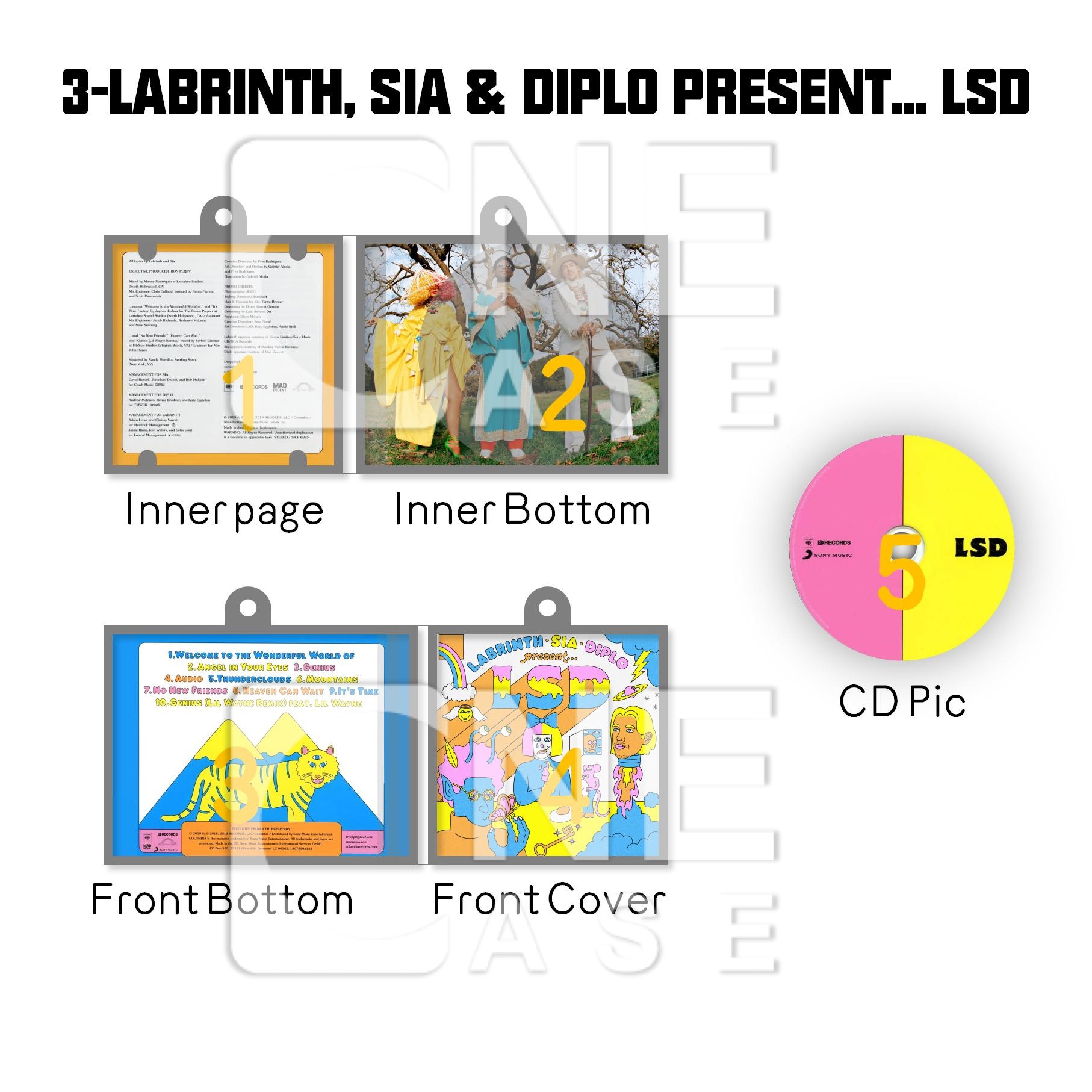 Sia Mini Vinyl NFC Album Keychain CD Music Keychain Pendant Customized 