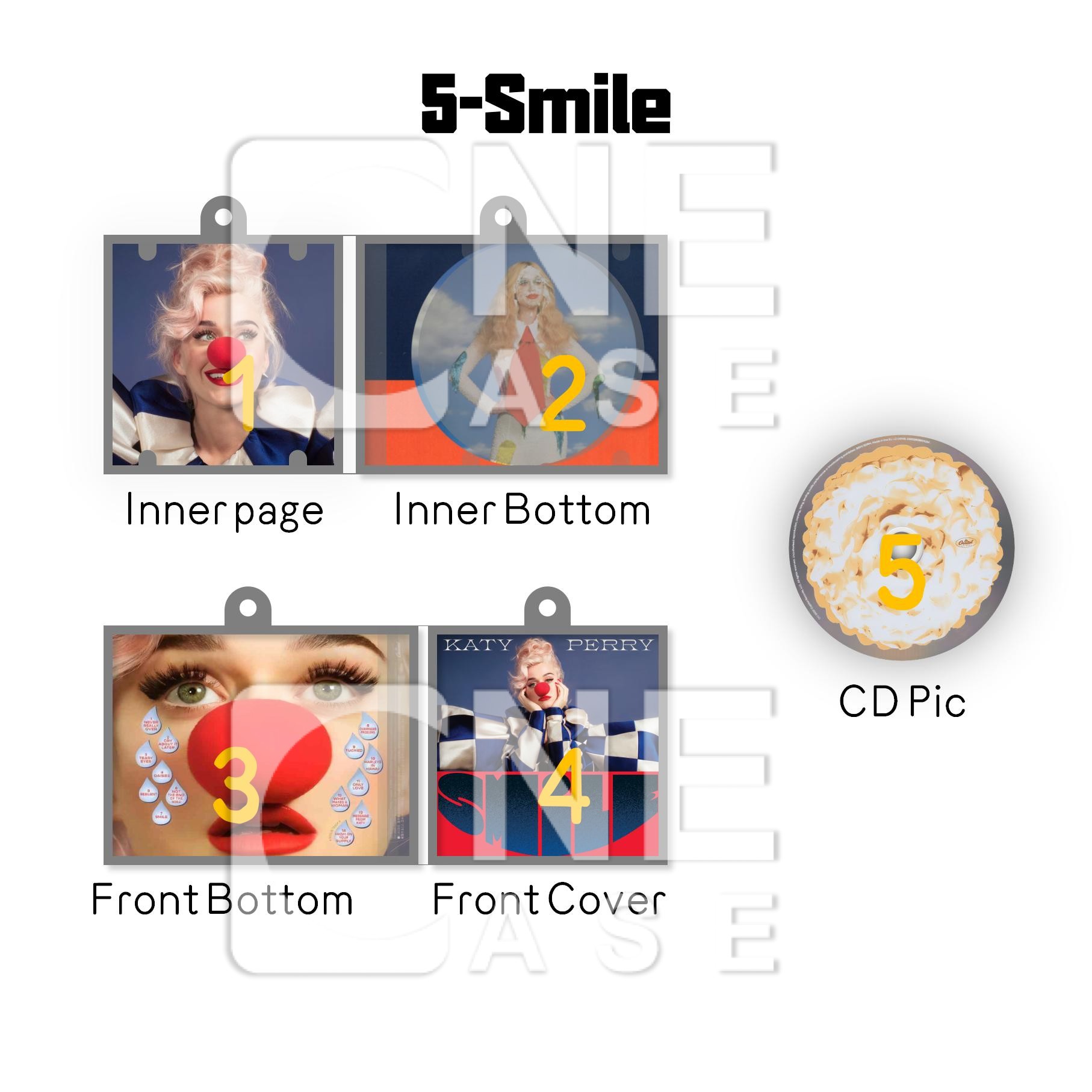 Katy Perry  Mini Vinyl NFC Album Keychain CD Music Keychain Pendant Customized