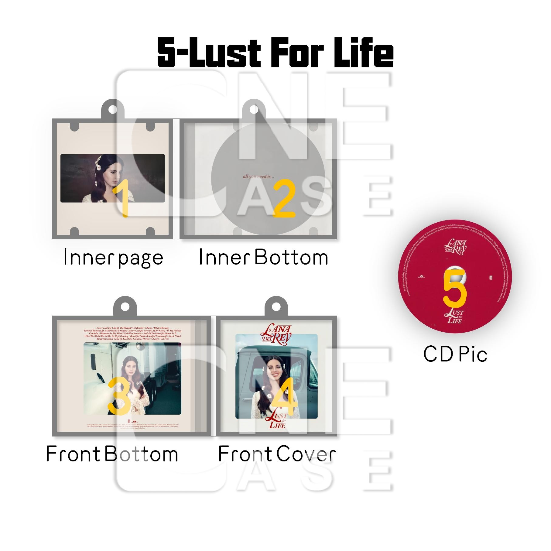 Lana Del Rey  Mini vinyl NFC Album Keychain CD Music Keychain Pendant Customized 