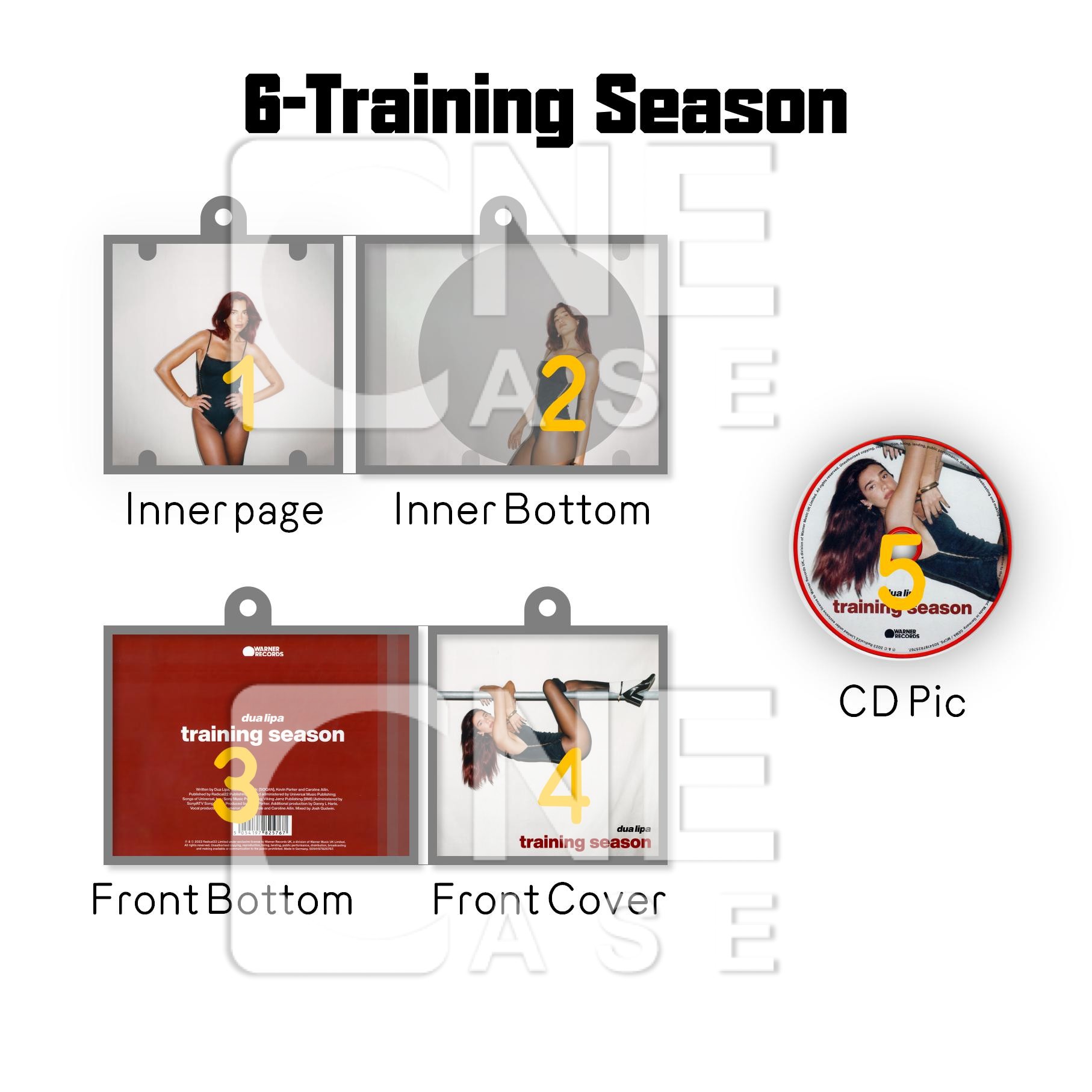 Dua Lipa Mini NFC Album Keychain CD Music Keychain Pendant Customized Up All Night/Up All Night/Training Season